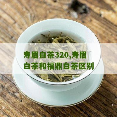 寿眉白茶320,寿眉白茶和福鼎白茶区别