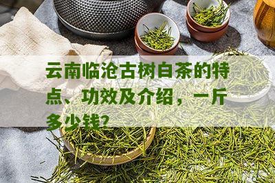 云南临沧古树白茶的特点、功效及介绍，一斤多少钱？