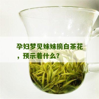 孕妇梦见妹妹摘白茶花，预示着什么？