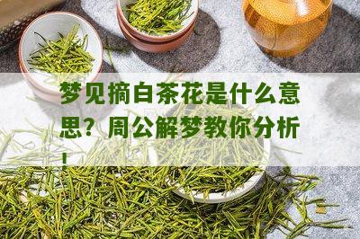 梦见摘白茶花是什么意思？周公解梦教你分析！