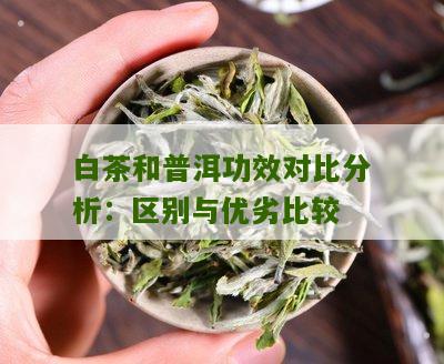 白茶和普洱功效对比分析：区别与优劣比较