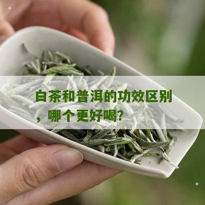 白茶和普洱的功效区别，哪个更好喝？