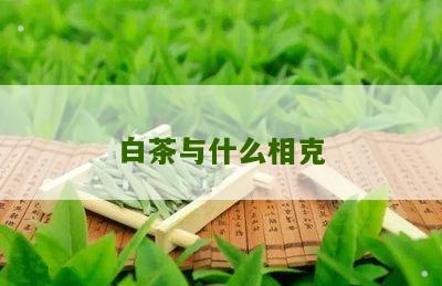 白茶与什么相克