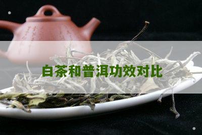 白茶和普洱功效对比