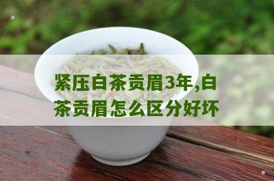 紧压白茶贡眉3年,白茶贡眉怎么区分好坏