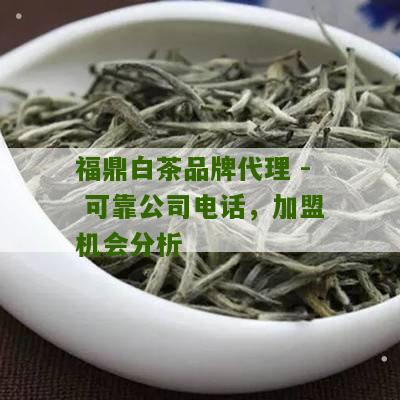 福鼎白茶品牌代理 - 可靠公司电话，加盟机会分析