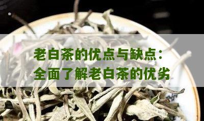 老白茶的优点与缺点：全面了解老白茶的优劣