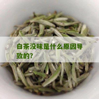 白茶没味是什么原因导致的？