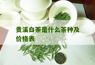 贵溪白茶是什么茶种及价格表