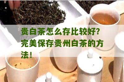 贵白茶怎么存比较好？完美保存贵州白茶的方法！