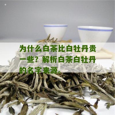 为什么白茶比白牡丹贵一些？解析白茶白牡丹的名字来源。