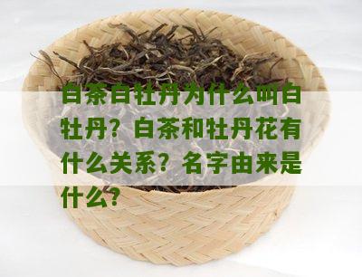 白茶白牡丹为什么叫白牡丹？白茶和牡丹花有什么关系？名字由来是什么？