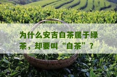 为什么安吉白茶属于绿茶，却要叫“白茶”？