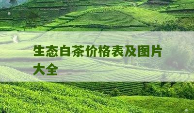 生态白茶价格表及图片大全