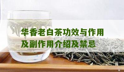 华香老白茶功效与作用及副作用介绍及禁忌