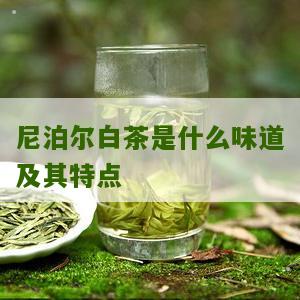 尼泊尔白茶是什么味道及其特点