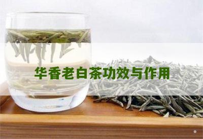 华香老白茶功效与作用