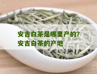 安吉白茶是哪里产的？安吉白茶的产地