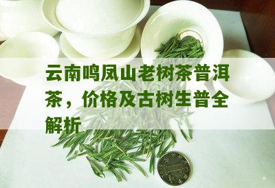 云南鸣凤山老树茶普洱茶，价格及古树生普全解析