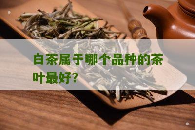 白茶属于哪个品种的茶叶最好？