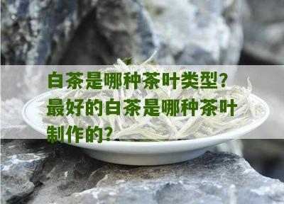 白茶是哪种茶叶类型？最好的白茶是哪种茶叶制作的？