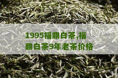 1995福鼎白茶,福鼎白茶9年老茶价格