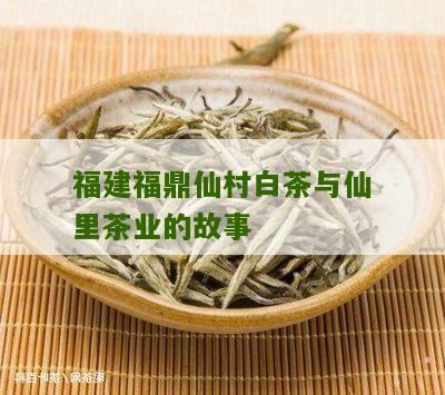 福建福鼎仙村白茶与仙里茶业的故事