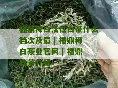 福鼎稀白活性白茶什么档次及眉 | 福鼎稀白茶业官网 | 福鼎白茶介绍