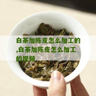 白茶加陈皮怎么加工的,白茶加陈皮怎么加工的视频