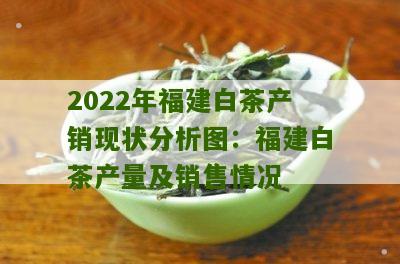 2022年福建白茶产销现状分析图：福建白茶产量及销售情况