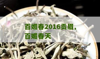 百媚春2016贡眉,百媚春天