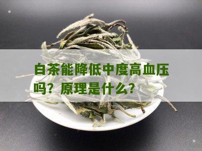 白茶能降低中度高血压吗？原理是什么？