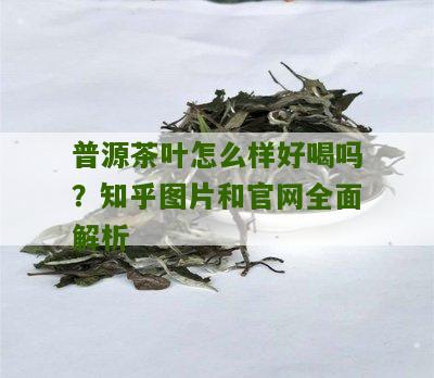 普源茶叶怎么样好喝吗？知乎图片和官网全面解析