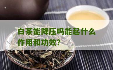 白茶能降压吗能起什么作用和功效？