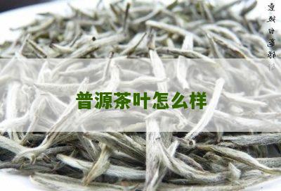 普源茶叶怎么样