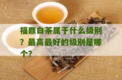 福鼎白茶属于什么级别？最高最好的级别是哪个？