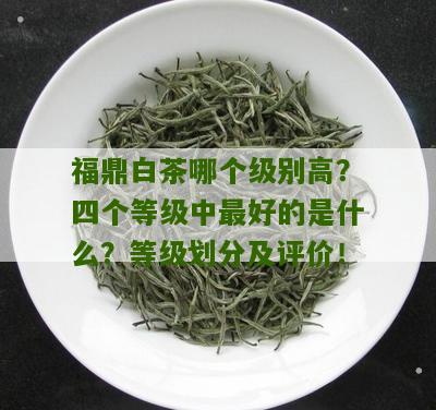 福鼎白茶哪个级别高？四个等级中最好的是什么？等级划分及评价！