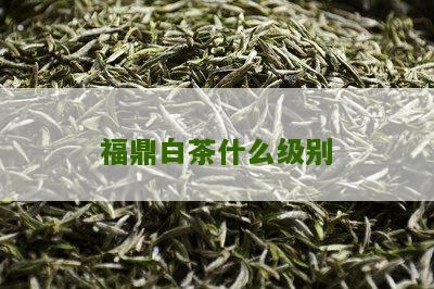 福鼎白茶什么级别