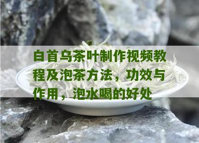 白首乌茶叶制作视频教程及泡茶方法，功效与作用，泡水喝的好处