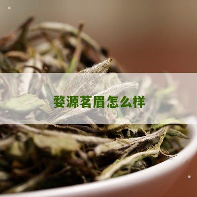 婺源茗眉怎么样