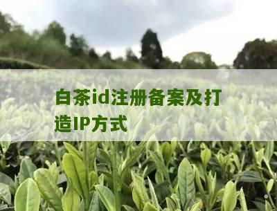 白茶id注册备案及打造IP方式