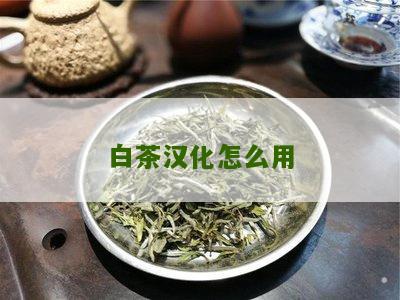 白茶汉化怎么用