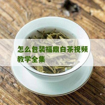 怎么包装福鼎白茶视频教学全集