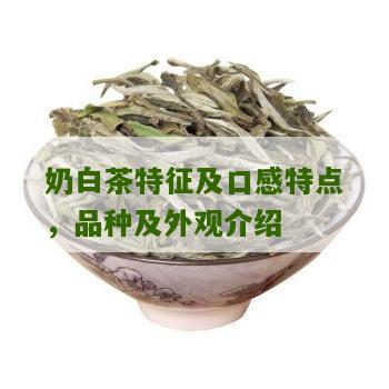 奶白茶特征及口感特点，品种及外观介绍