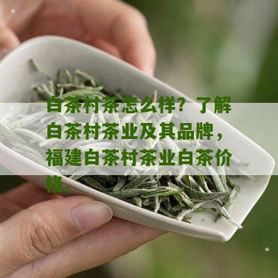 白茶村茶怎么样？了解白茶村茶业及其品牌，福建白茶村茶业白茶价格。