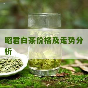 昭君白茶价格及走势分析