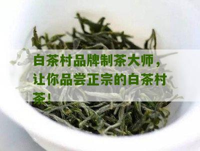 白茶村品牌制茶大师，让你品尝正宗的白茶村茶！