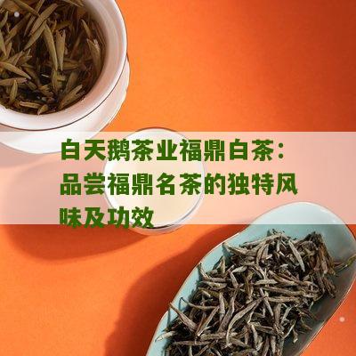 白天鹅茶业福鼎白茶：品尝福鼎名茶的独特风味及功效