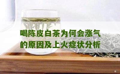 喝陈皮白茶为何会涨气的原因及上火症状分析