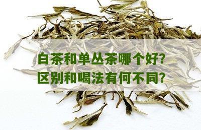 白茶和单丛茶哪个好？区别和喝法有何不同？